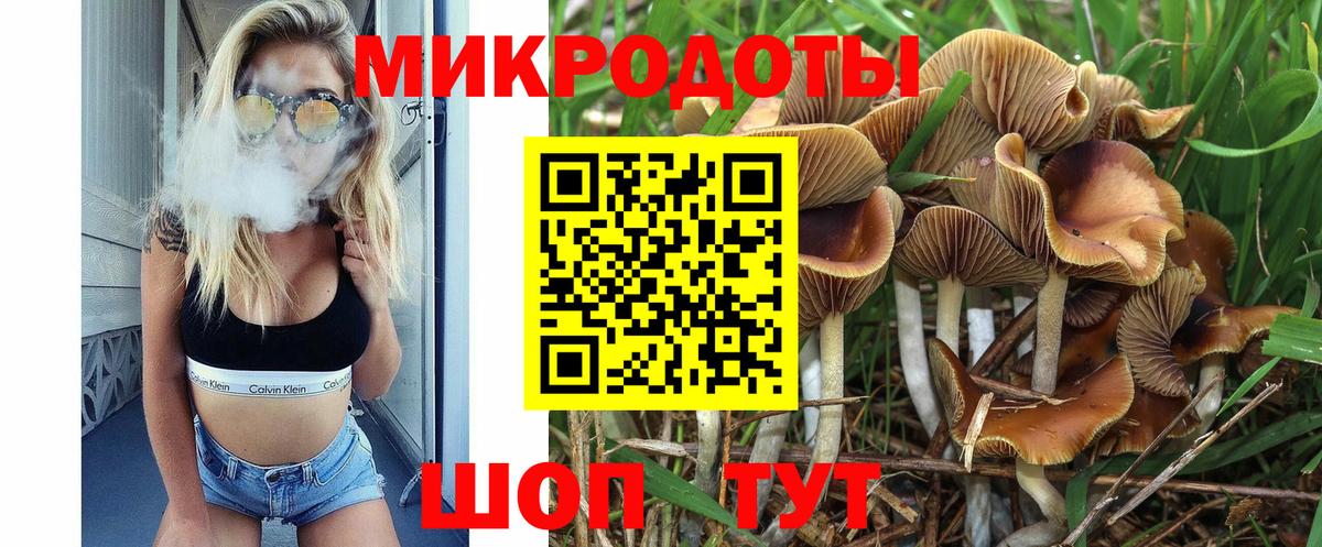 Псилоцибиновые грибы Magic Shrooms Всеволожск