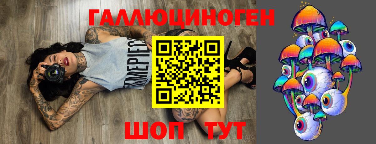 Всеволожск  где купить наркотик  Вход с VPN  Галлюциногенные грибы мицелий 